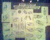 Drawing diary