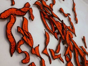 Acacia Seed Pod drawings